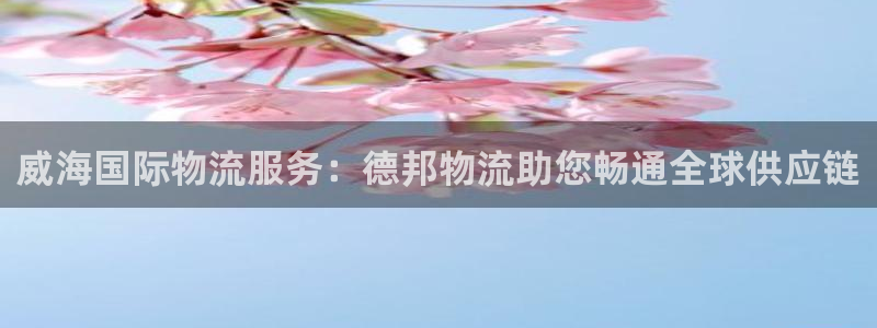 28圈娱乐官网网页入口：威海国际物流