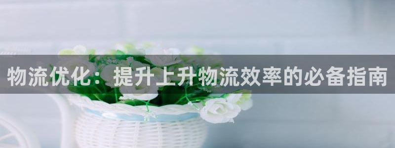 28圈.ccm官网：物流优化：提升上