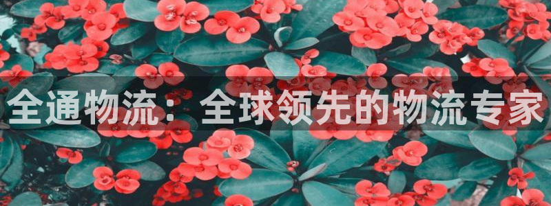 28圈.ccmpc29官网版下载：全