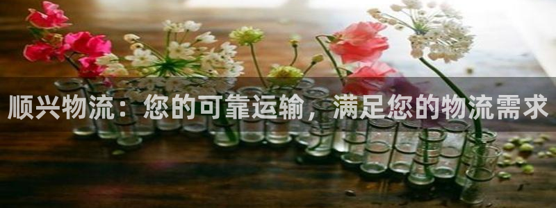 28圈.ccmapp：顺兴物流：您的