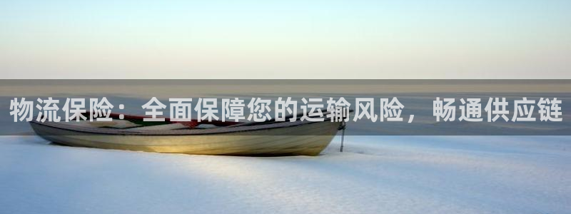 28圈玩法：物流保险：全面保障您的运