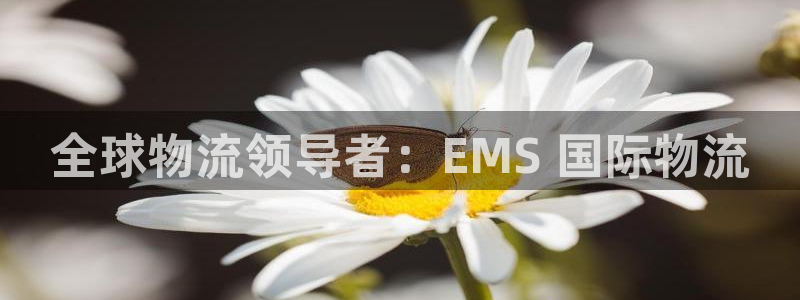 28圈官方网站是多少